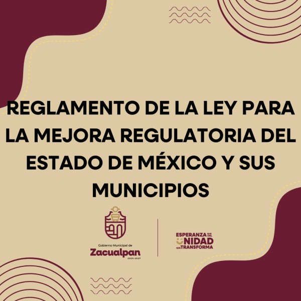 reglamento de la ley competividad