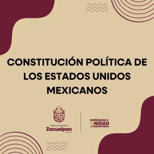 constitucion politica